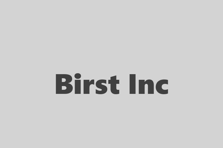 Technology Company Birst Inc