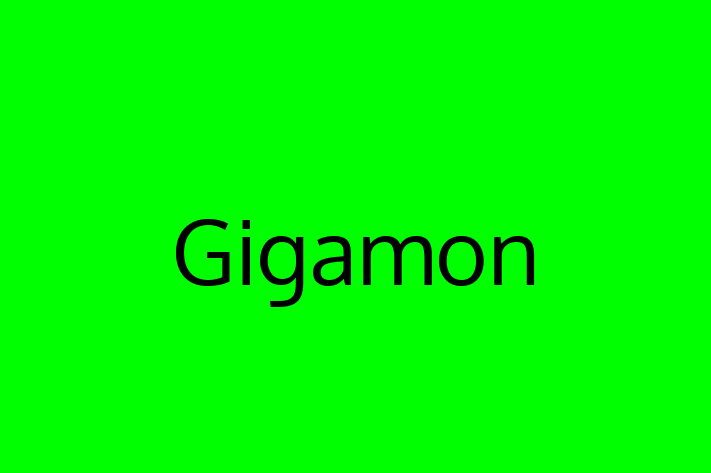 Software Firm Gigamon