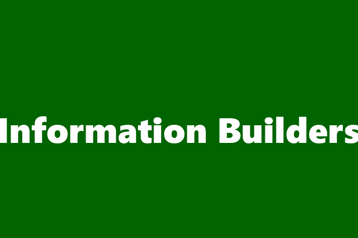 Technology Solutions Firm Information Builders