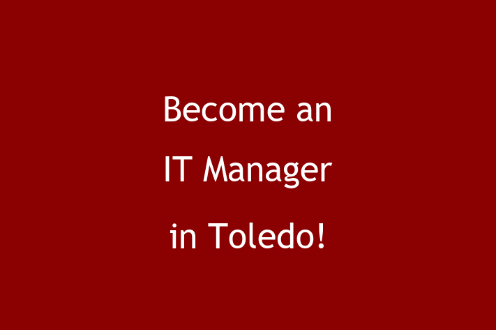 Become an IT Manager in Toledo