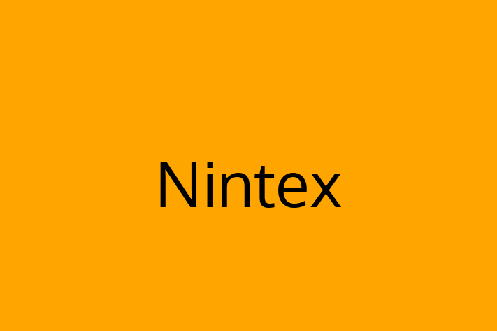 IT Company Nintex