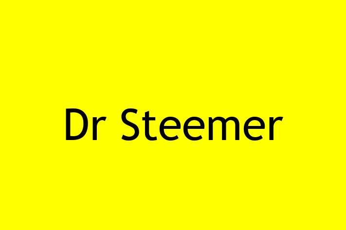 Home Sanitation Dr Steemer