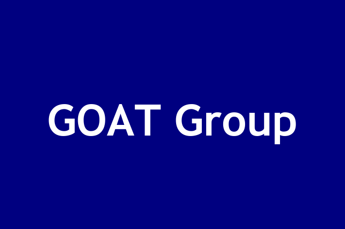 Human Resource Management GOAT Group