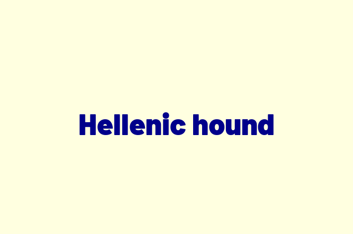 Hellenic hound Dog for Sale in Billings