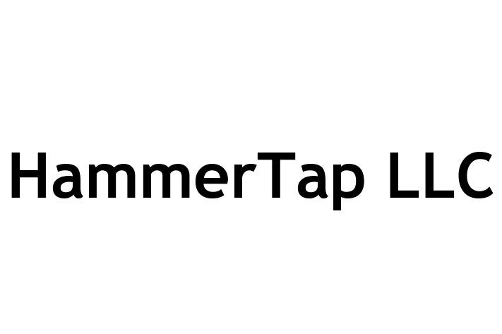 Application Development Company HammerTap LLC