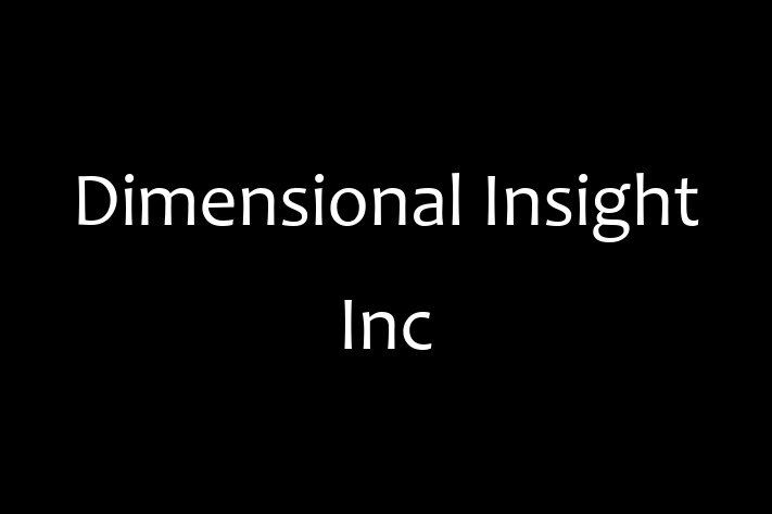 Software Consultancy Dimensional Insight Inc