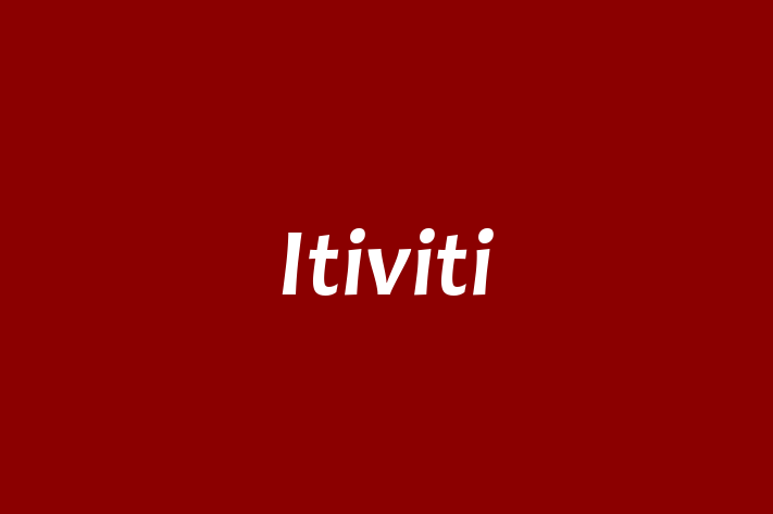 Human Capital Management Itiviti