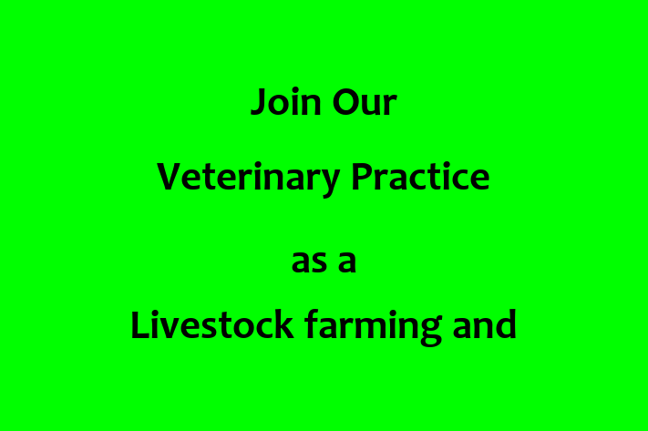 Join Our Veterinary Practice as a Livestock farming and veterinary medicine