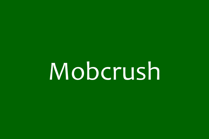 Software Services Company Mobcrush