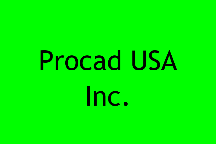 Digital Solutions Provider Procad USA Inc.