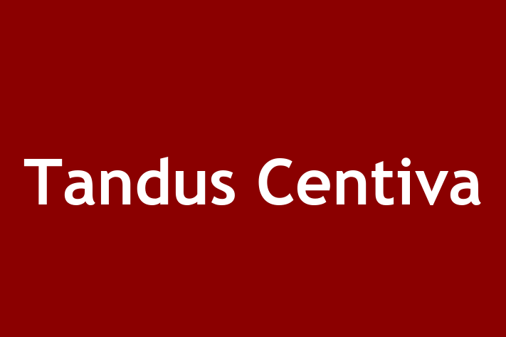 Human Resource Management Tandus Centiva