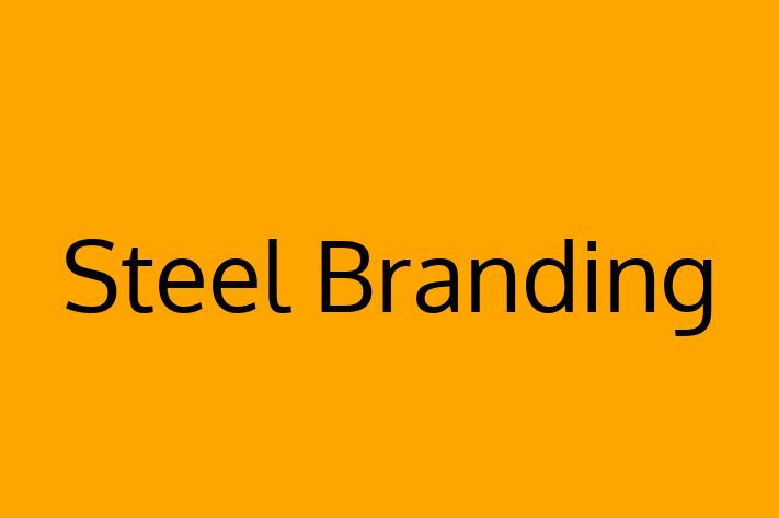 Software Solutions Provider Steel Branding