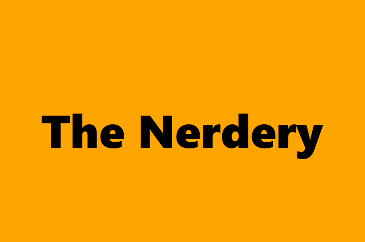 Application Development Company The Nerdery