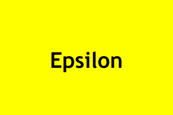 Technology Solutions Firm Epsilon