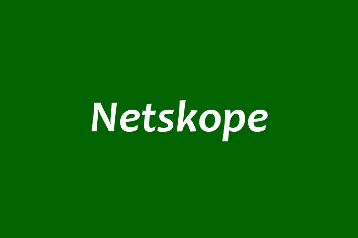 Software Services Company Netskope