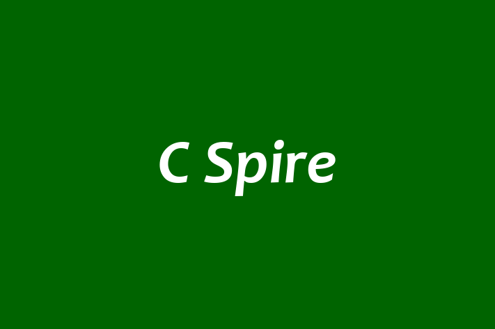 Software Solutions Provider C Spire