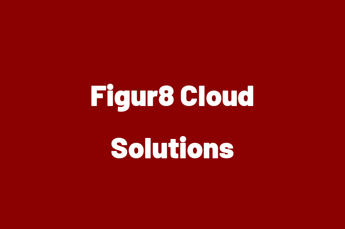 IT Company Figur8 Cloud Solutions