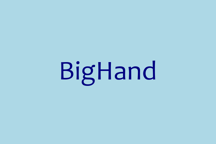 Digital Solutions Provider BigHand