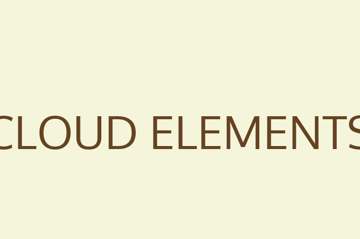 Software Services Company CLOUD ELEMENTS