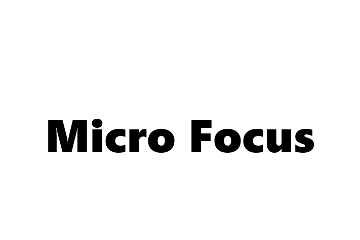 Software Consultancy Micro Focus