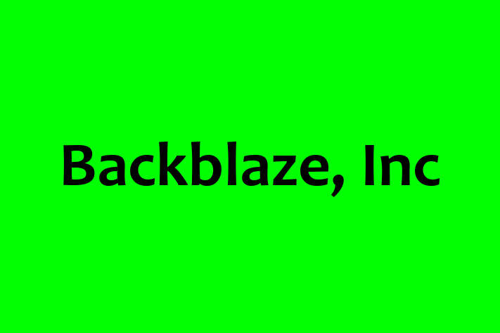 Software Development Company Backblaze Inc