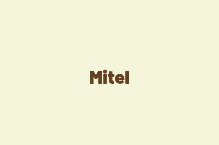 Software Engineering Company Mitel