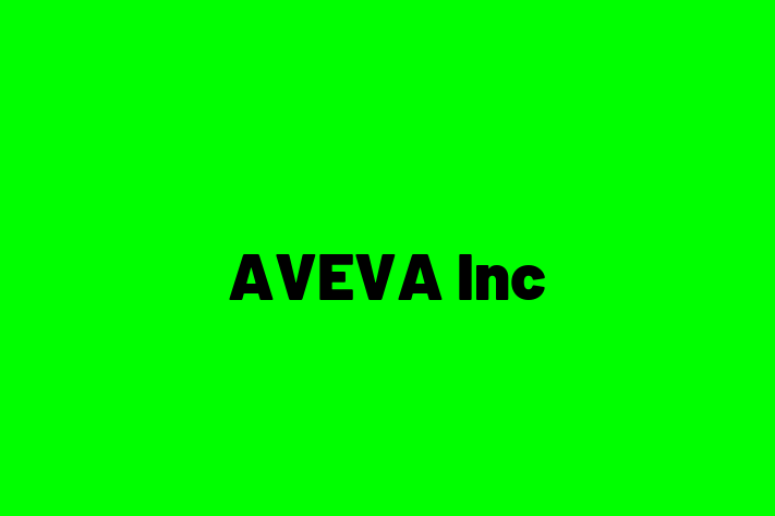 Tech Solutions Company AVEVA Inc