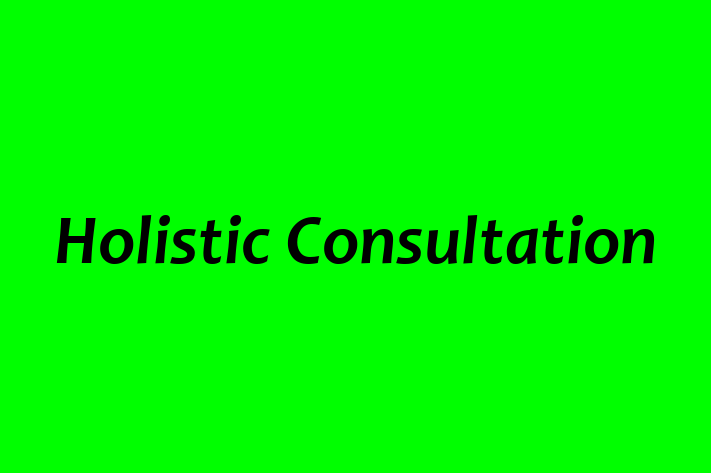 Human Capital Management Holistic Consultation