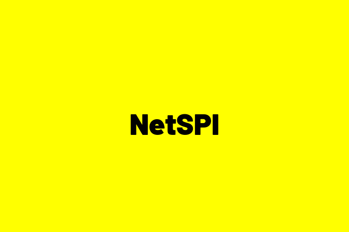 Software Solutions Provider NetSPI