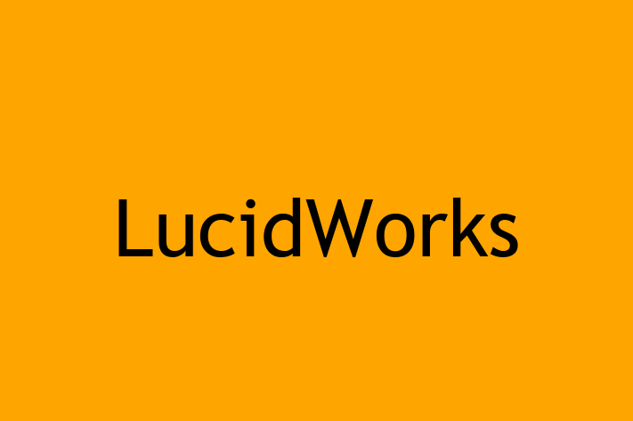 Software Firm LucidWorks