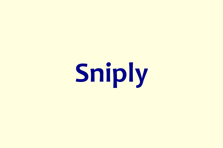 Software Development Company Sniply