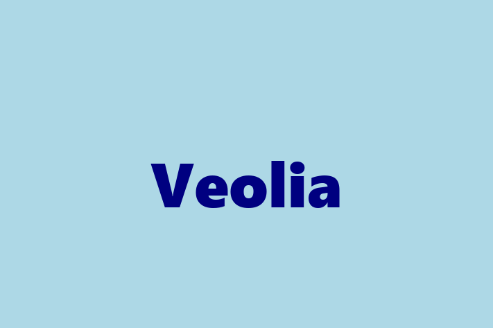 Software Engineering Company Veolia