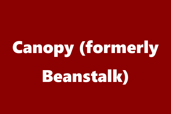 Software Consultancy Canopy formerly Beanstalk