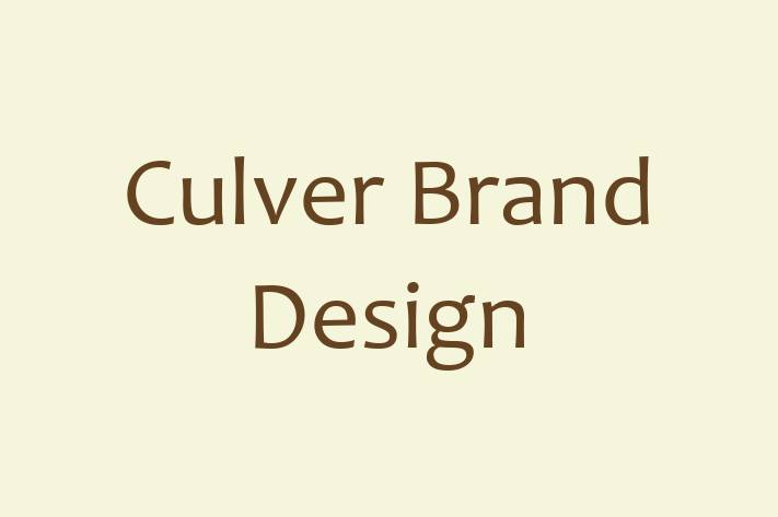 Software Firm Culver Brand Design