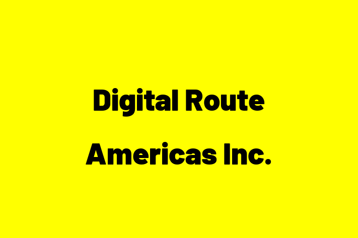 Application Development Company Digital Route Americas Inc.