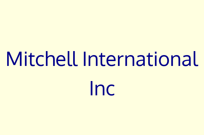 Software Consultancy Mitchell International Inc