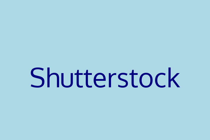 Software Consultancy Shutterstock