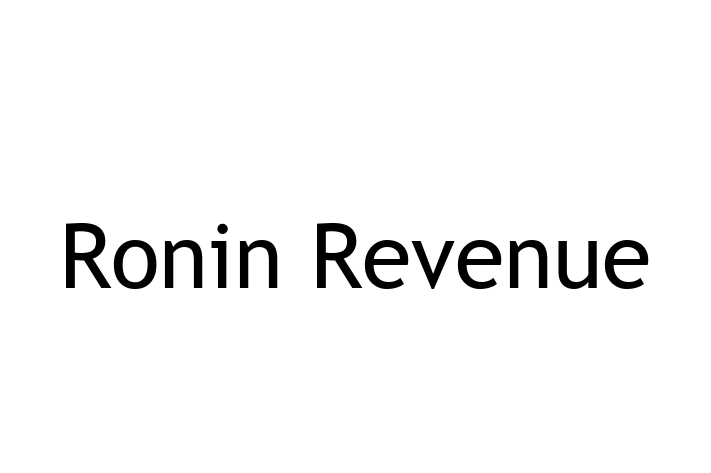 Technology Solutions Firm Ronin Revenue