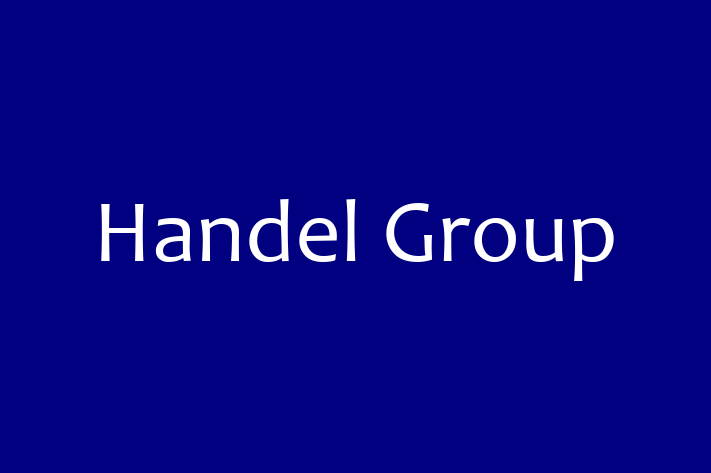 Software Firm Handel Group