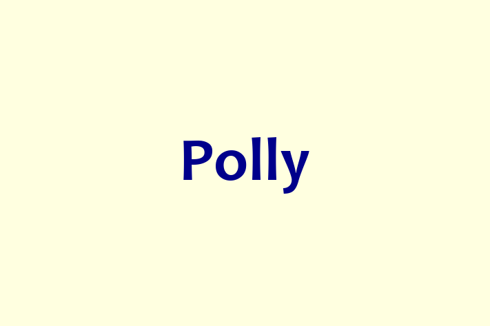 Human Resource Management Polly