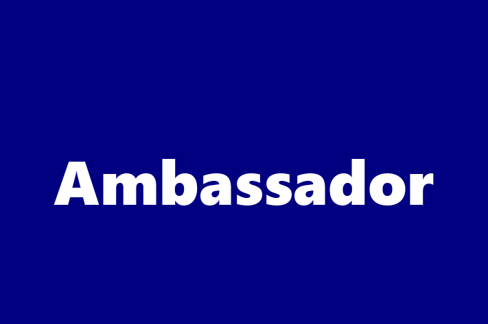 Application Development Company Ambassador