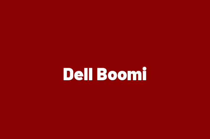 Software Firm Dell Boomi