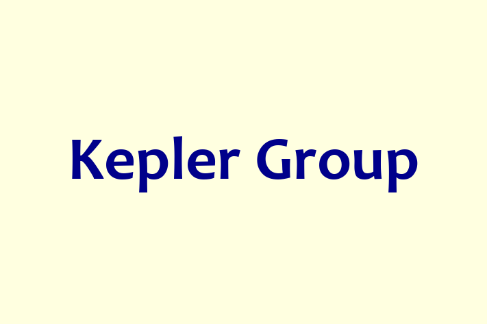 Software Consultancy Kepler Group