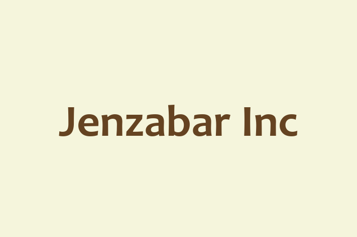 Application Development Company Jenzabar Inc