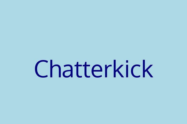 Technology Solutions Firm Chatterkick