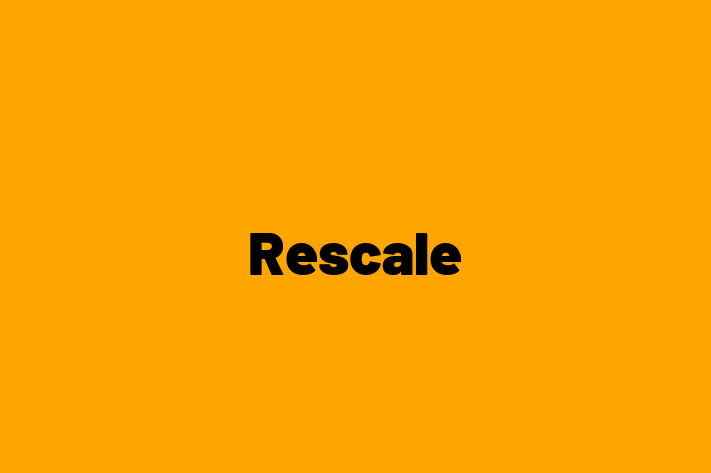 Digital Solutions Provider Rescale