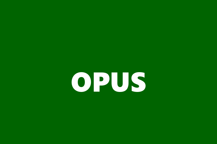 Application Development Company OPUS