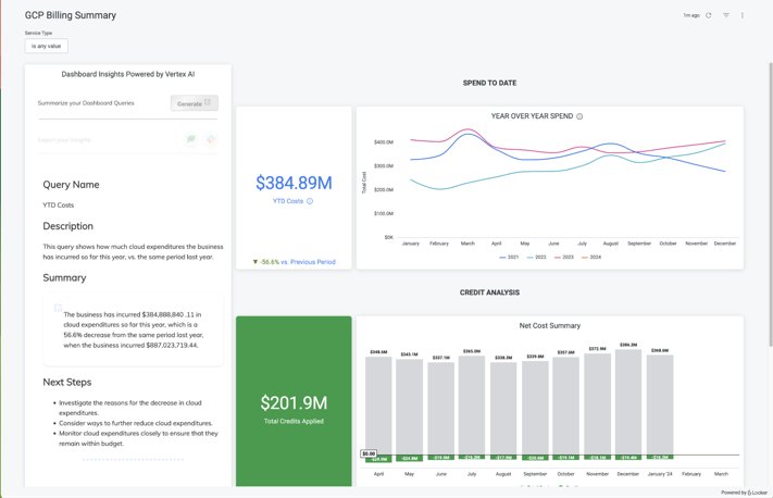 Software Services Company Looker