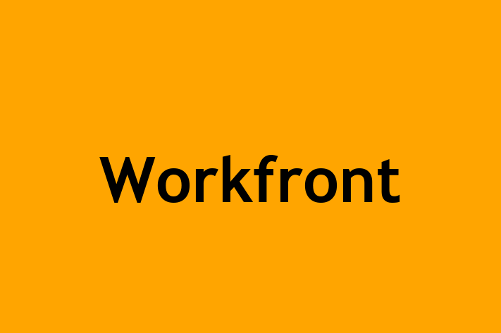 Software Consultancy Workfront