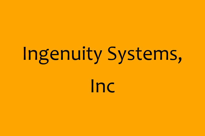 IT Company Ingenuity Systems Inc